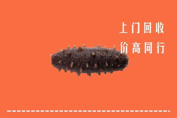 鞍山市回收海参