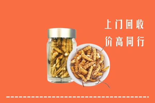 鞍山市回收冬虫夏草